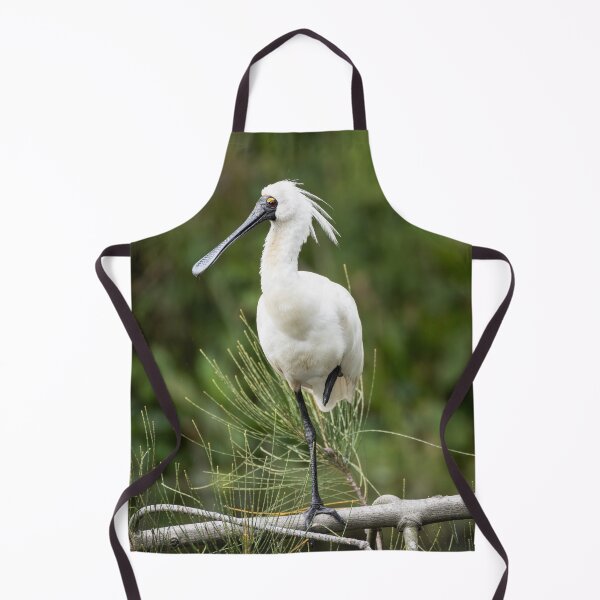 Item preview, Royal Spoonbill designed and sold by Malcolm Katon.