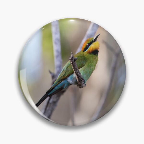 Item preview, Rainbow Bee-eater designed and sold by Malcolm Katon.