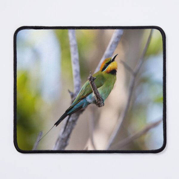 Item preview, Rainbow Bee-eater designed and sold by Malcolm Katon.