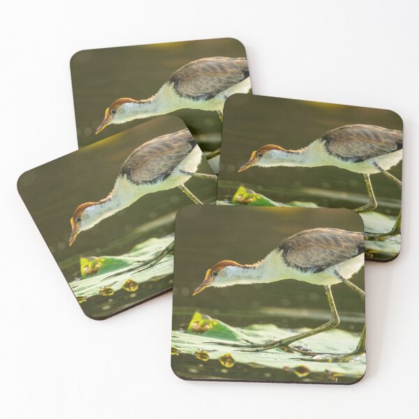 Item preview, Comb-crested Jacana designed and sold by Malcolm Katon.