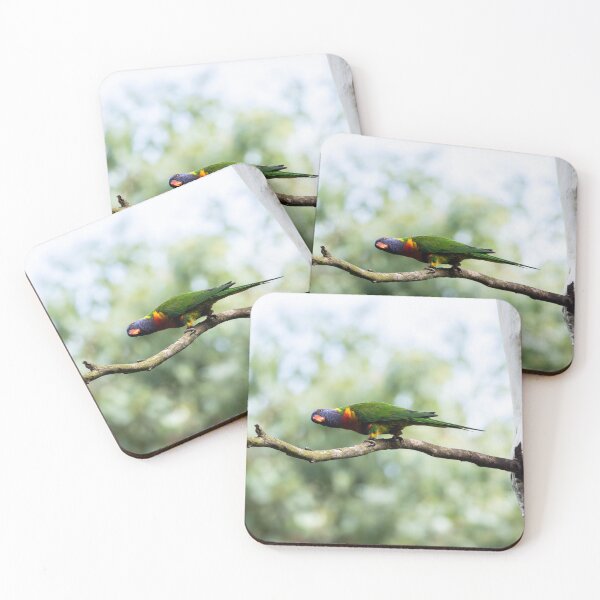 Item preview, Rainbow Lorikeet designed and sold by Malcolm Katon.