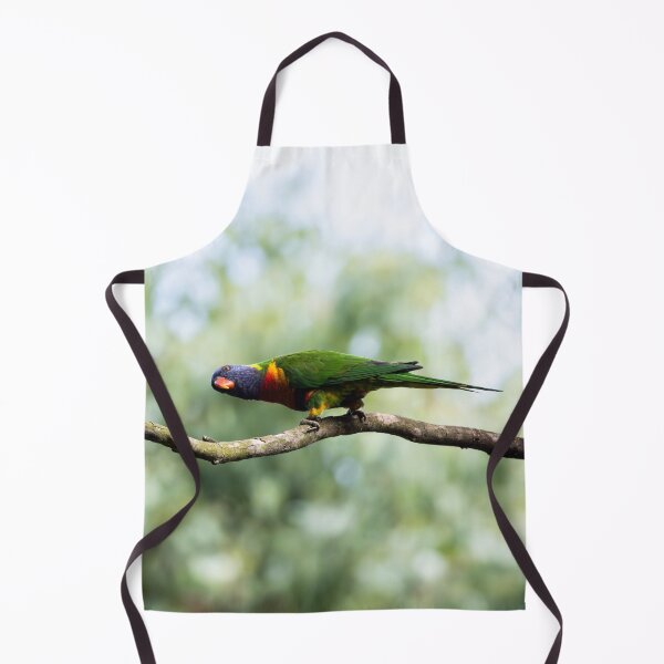 Item preview, Rainbow Lorikeet designed and sold by Malcolm Katon.