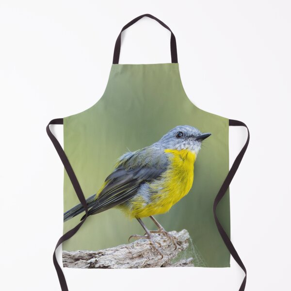 Item preview, Eastern Yellow Robin designed and sold by Malcolm Katon.