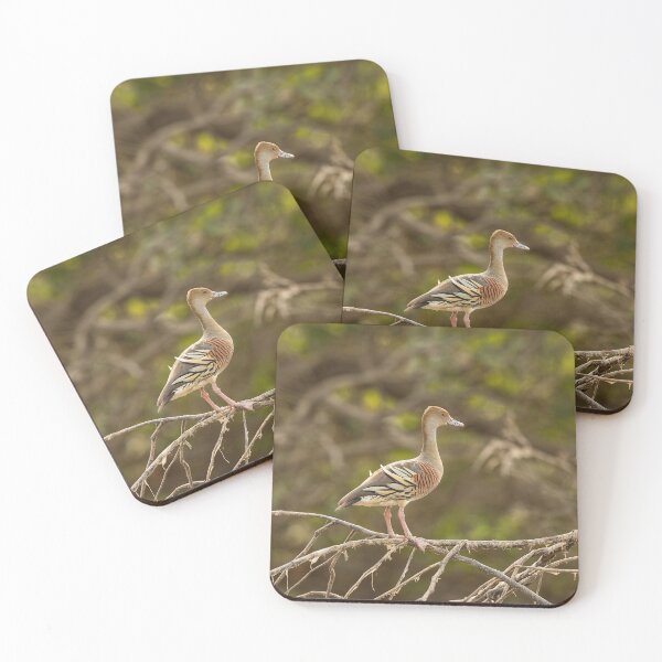 Item preview, Wandering Whistling Duck designed and sold by Malcolm Katon.