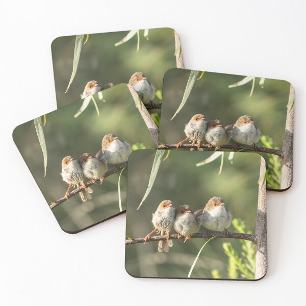 Item preview, Superb Fairywrens designed and sold by Malcolm Katon.