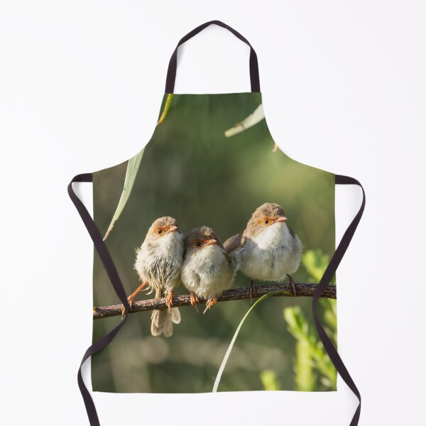 Item preview, Superb Fairywrens designed and sold by Malcolm Katon.