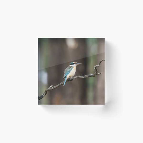 Item preview, Sacred Kingfisher designed and sold by Malcolm Katon.