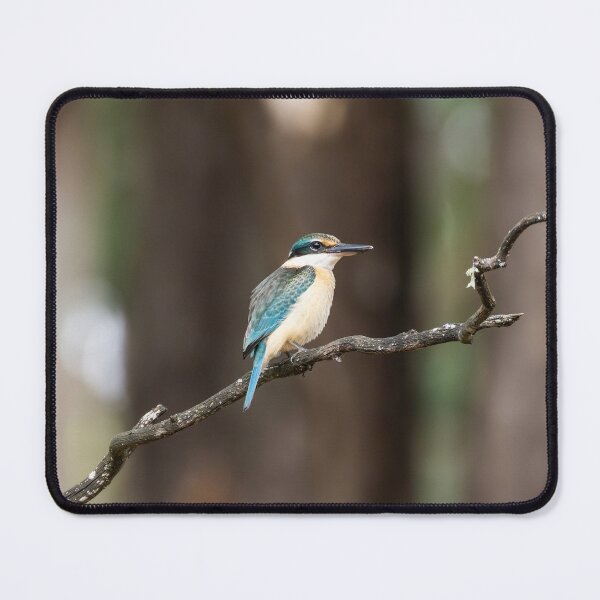 Item preview, Sacred Kingfisher designed and sold by Malcolm Katon.