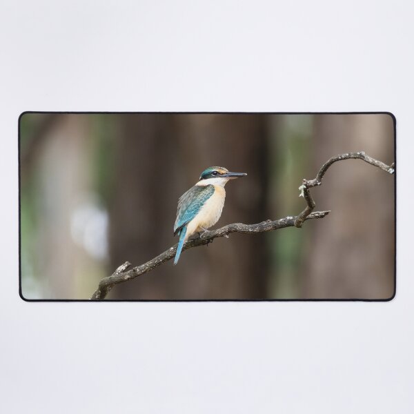 Item preview, Sacred Kingfisher designed and sold by Malcolm Katon.