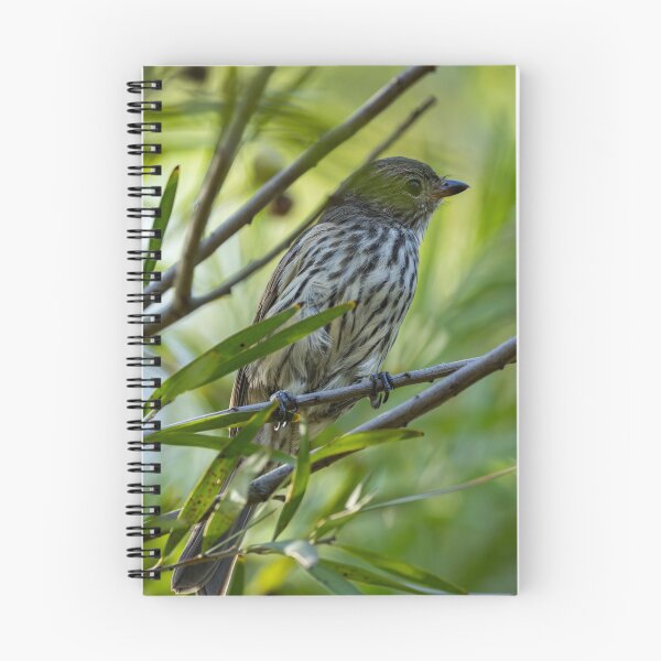Item preview, Olive-backed Oriole designed and sold by Malcolm Katon.