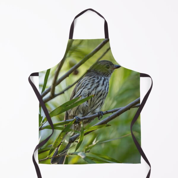 Item preview, Olive-backed Oriole designed and sold by Malcolm Katon.
