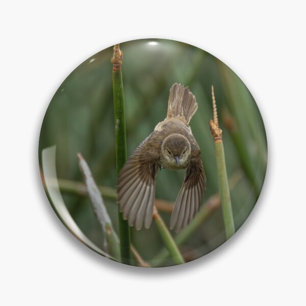 Item preview, Australian Reed Warbler designed and sold by Malcolm Katon.