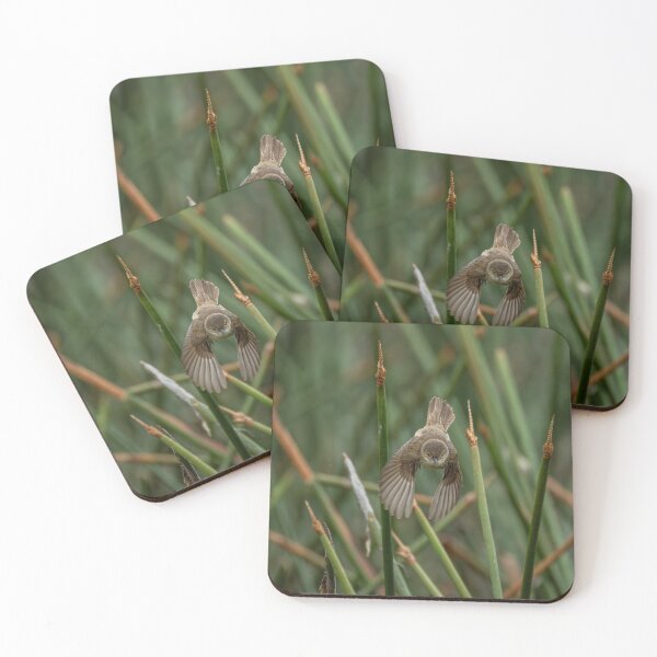 Item preview, Australian Reed Warbler designed and sold by Malcolm Katon.
