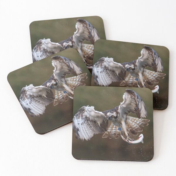 Item preview, osprey catch of the day designed and sold by wild78.