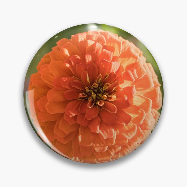 Item preview, Happy Bright Orange Zinnia Blossoms designed and sold by Georgia Mizuleva.