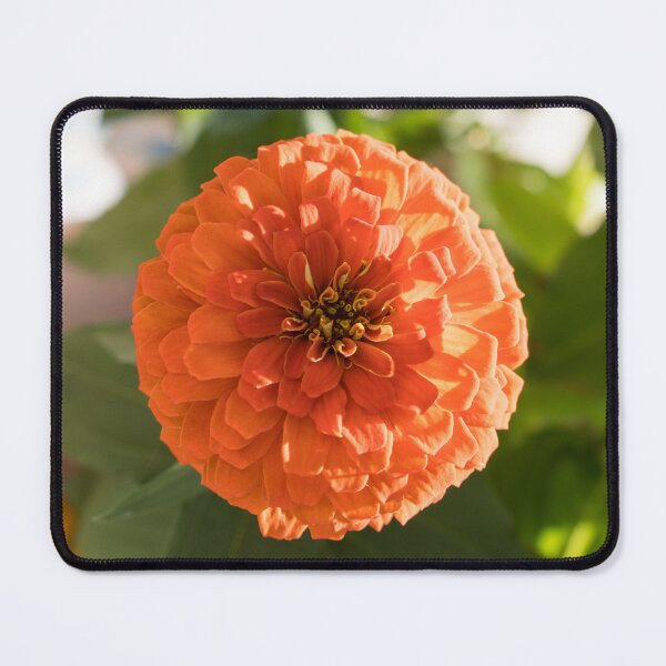 Item preview, Happy Bright Orange Zinnia Blossoms designed and sold by Georgia Mizuleva.
