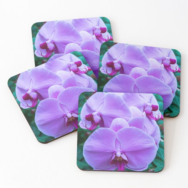 Item preview, Pink Phalaenopsis Orchids designed and sold by Ross.A.Campbell.