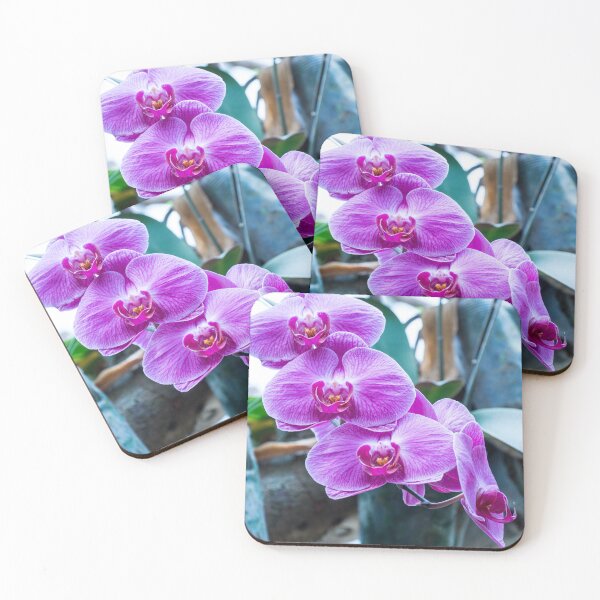 Item preview, Pink Phalaenopsis Orchids designed and sold by Ross.A.Campbell.