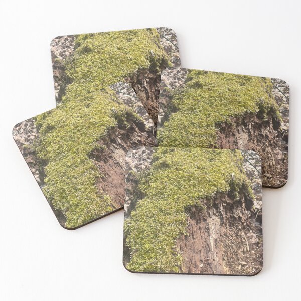 Item preview, Feathered Moss on Decomposing Log in Spring designed and sold by CrowCottage51.