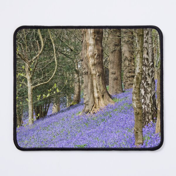 Item preview, Bluebells at Emmetts at Ide Hill in Kent UK designed and sold by John Gilham - Landscape Photography.