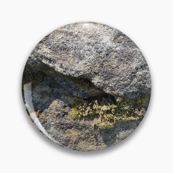 Item preview, Growing Rocks designed and sold by Mychaila's Creations.
