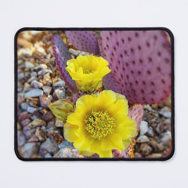 Item preview, Purple Cactus Blossom Photo – Prickly Pear Flower Photography | Desert Botanical Wall Art designed and sold by Tempraneo Photo.