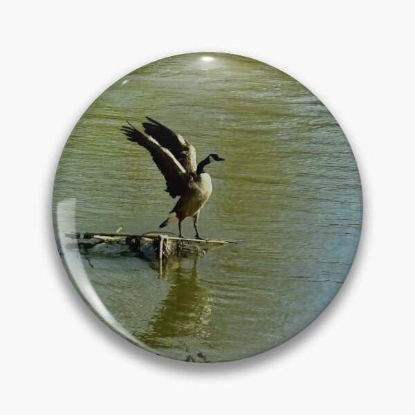 Item preview, Goose Span photography  designed and sold by charreadyarts1.