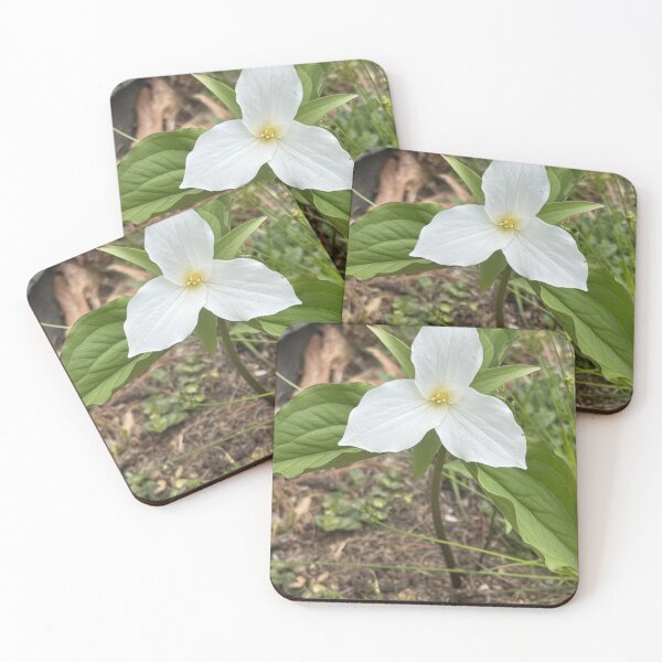 Item preview, Isolated Trillium designed and sold by Mychaila's Creations.