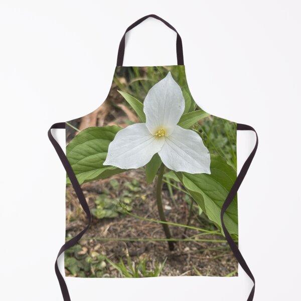 Item preview, Isolated Trillium designed and sold by Mychaila's Creations.
