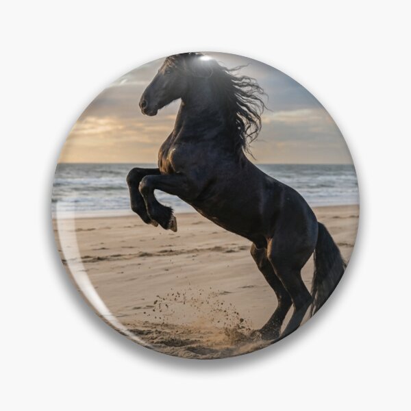 Item preview, Friesian horse rearing up on the sand. designed and sold by Malisa345.