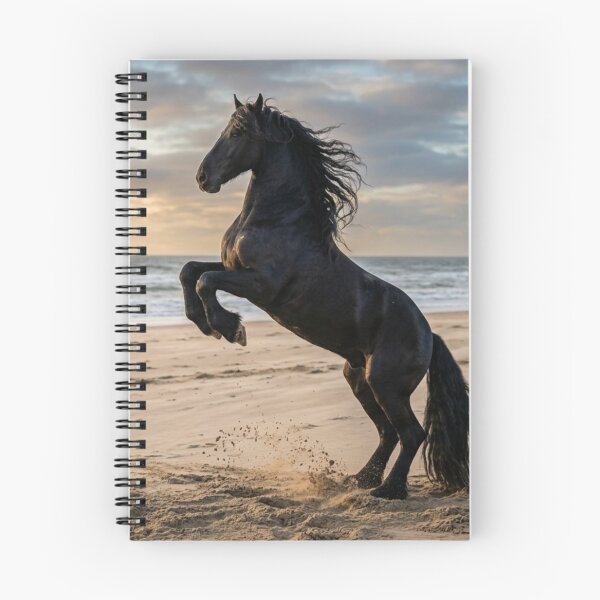 Item preview, Friesian horse rearing up on the sand. designed and sold by Malisa345.