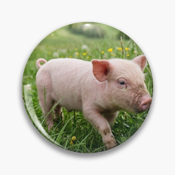Artikelvorschau, Ferkel im Gras entworfen und verkauft von Malisa345.