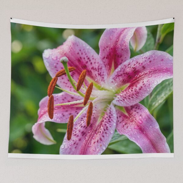 Item preview, Fleur-de-lis. designed and sold by Malisa345.