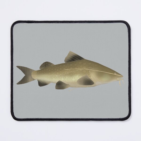 Item preview, Jaú Catfish designed and sold by fishfolkart.
