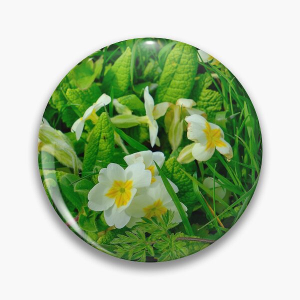 Item preview, Primroses in Northumbrian Spring Sunshine designed and sold by Violaman.
