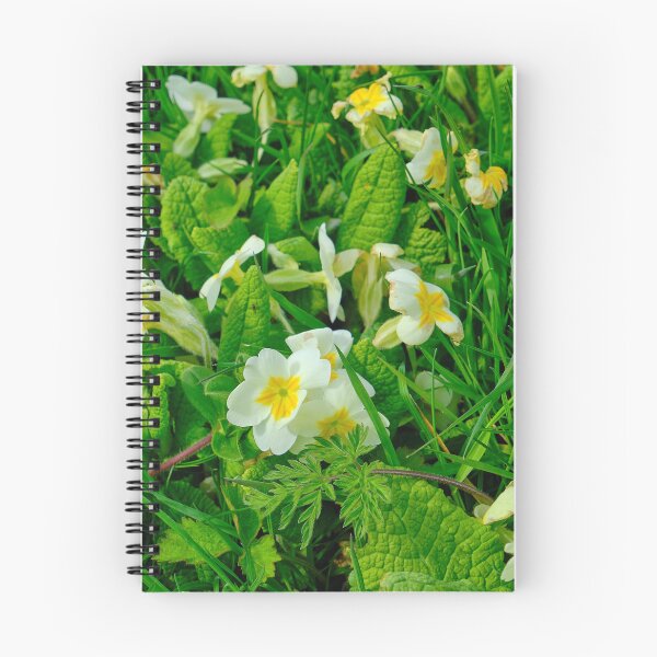 Item preview, Primroses in Northumbrian Spring Sunshine designed and sold by Violaman.