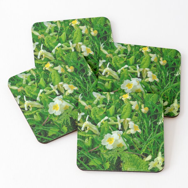 Item preview, Primroses in Northumbrian Spring Sunshine designed and sold by Violaman.