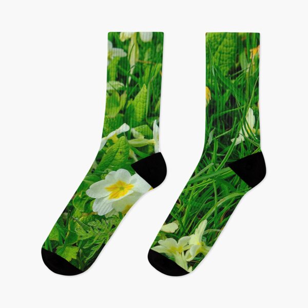 Item preview, Primroses in Northumbrian Spring Sunshine designed and sold by Violaman.