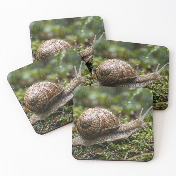 Item preview, Snail in the rain. designed and sold by Malisa345.