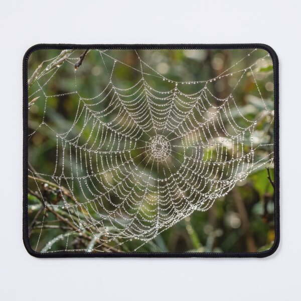 Item preview, Dew on a spider's web. designed and sold by Malisa345.