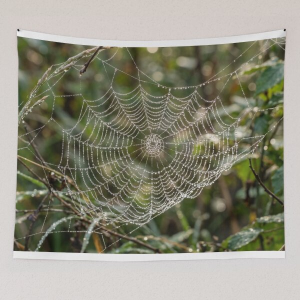 Item preview, Dew on a spider's web. designed and sold by Malisa345.
