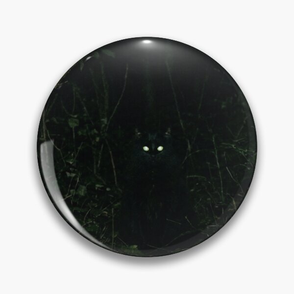 Item preview, Long-haired black cat in the dark designed and sold by Malisa345.