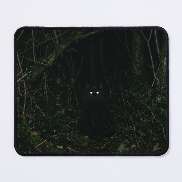 Item preview, Long-haired black cat in the dark designed and sold by Malisa345.