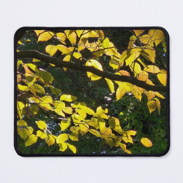 Item preview, Glow designed and sold by Shellie Bruner.