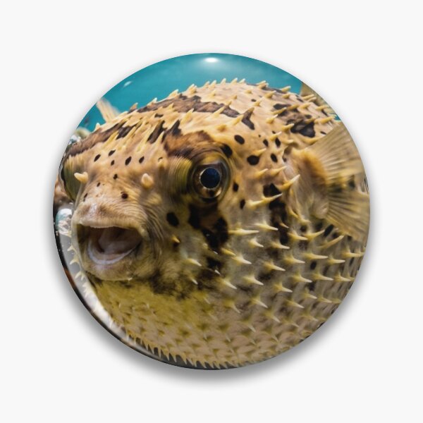 Item preview, Pufferfish inflating designed and sold by Malisa345.