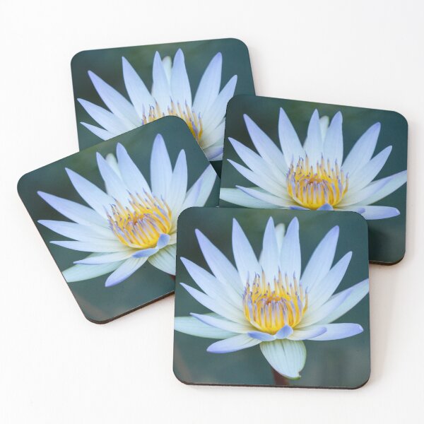 Item preview, Water Lily (Nymphaea Tanzanite) designed and sold by Ross.A.Campbell.