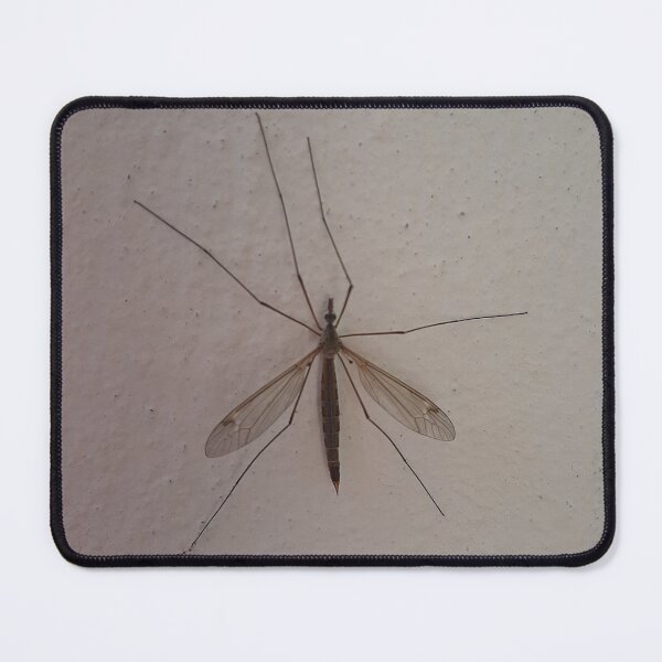 Item preview, mosquito insect designed and sold by SmixStudio.