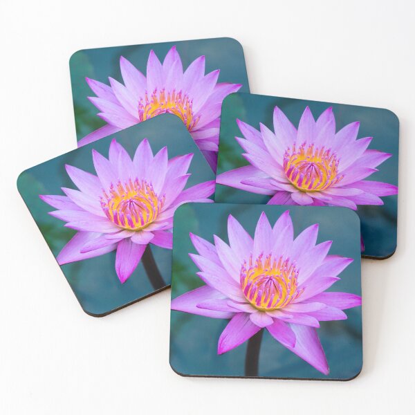 Item preview, Water Lily (Nymphaea Tanzanite) designed and sold by Ross.A.Campbell.