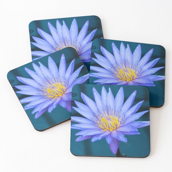 Item preview, Water Lily (Nymphaea Tanzanite) designed and sold by Ross.A.Campbell.