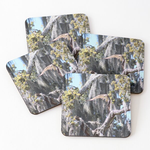 Item preview, Bird in Spanish Moss designed and sold by Cynthia48.